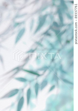 Dreamy plant silhouette and blank space 89337761