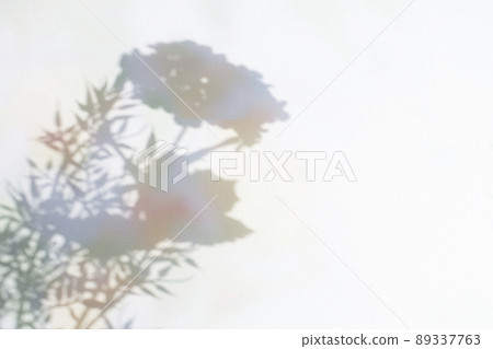 Dreamy plant silhouette and blank space 89337763
