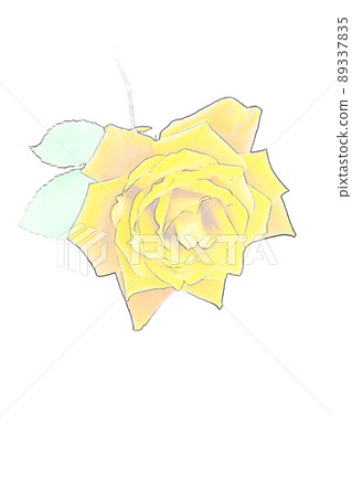 白色背景上的黃色玫瑰花框,白色背景上的黃色玫瑰花瓣 白色背景上的黃色玫瑰花框,白色背景上的黃色玫瑰花瓣 89337835