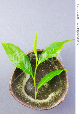 內襯茶葉 89338065