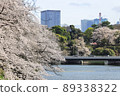 Sakura in full bloom in Chidori-gabuchi, Tokyo 89338322