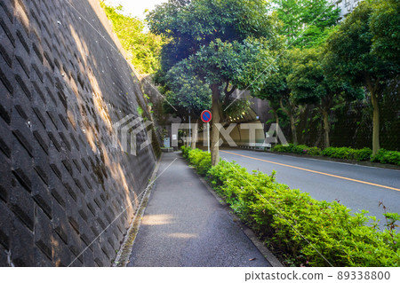 View the Shiomidai tunnel from the Shiomidai side 89338800