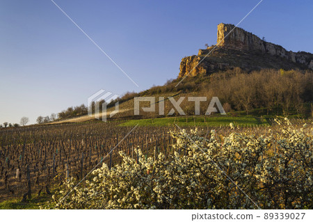 Rock of Solutre with vineyards, Burgundy, Solutre-Pouilly, France Rock of Solutre with vineyards, Burgundy, Solutre-Pouilly, France 89339027