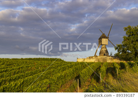 Windmill of La Tranchee and vineyard near Montsoreau, Pays de la Loire, France 89339187