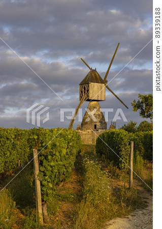 Windmill of La Tranchee and vineyard near Montsoreau, Pays de la Loire, France Windmill of La Tranchee and vineyard near Montsoreau, Pays de la Loire, France 89339188
