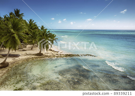 Tropical carribbean beach Tropical carribbean beach 89339211