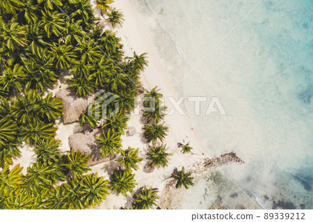 Tropical carribbean beach 89339212