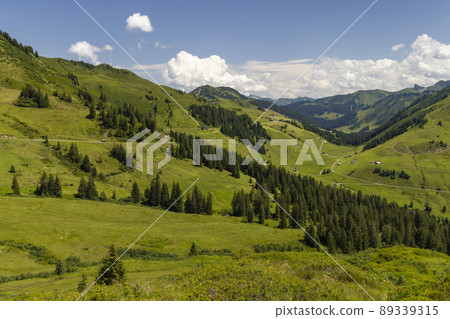Typical alpine landscape in early summer near Damuls, Vorarlberg, Austria 89339315