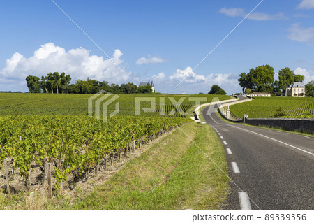 Typical vineyards near Chateau Pichon Longueville Comtesse de Lalande, Bordeaux, Aquitaine, France 89339356
