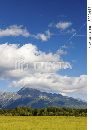 High Tatras with the dominant mountain Krivan, Slovakia 89339434