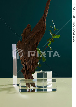 Front view of branch tree and white podium in blue background  89339510