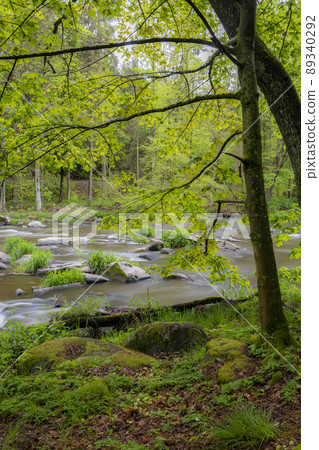 river Sazava near Smrcna, Czech Republic 89340292