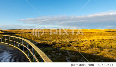 The dunes and Wadden Sea at St Peter Ording Germany 89340643
