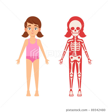 Children Anatomy Concept. Cute Girl Skeleton, Human Body Systems Educational Kids Anatomy Infographics Chart 89342480
