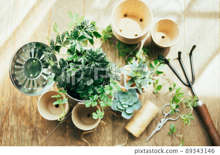 Image material of gardening 89343146