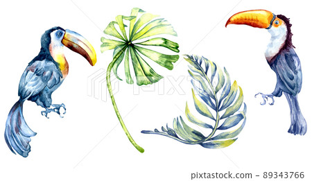 Toucans exotic birds, tropical leaves, palm watercolor illustration 89343766