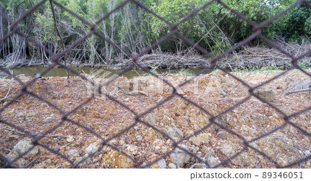 Water canal between the land and the tree Water canal between the land and the tree 89346051