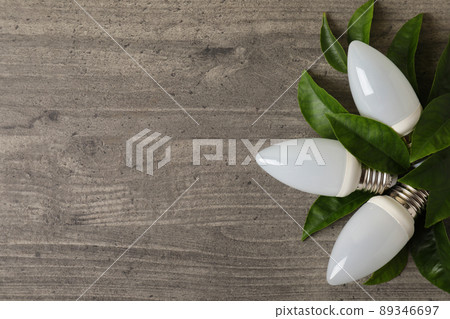 Energy saving bulbs with leaves on gray textured background Energy saving bulbs with leaves on gray textured background 89346697