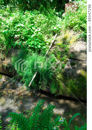 Kajiwara Kagetoki sword wash 89347296