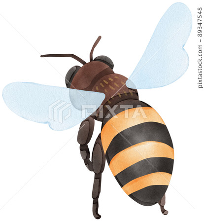 Honey set with jar, barrel, bees, honeycombs, buckwheat flowers. Isolate. watercolor illustration. 89347548