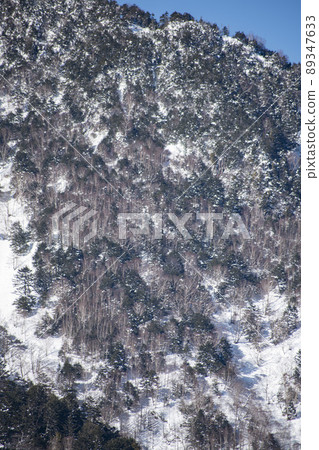 雪山在陽光明媚的冬日被佔用 89347633