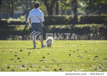 Owners and pet dogs playing in the open space 89348187