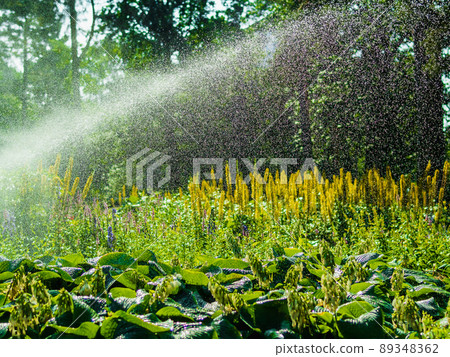 Landscape design, beautiful Park with flowers and conifers, Kotka, Park Isopuisto, Finland. 89348362