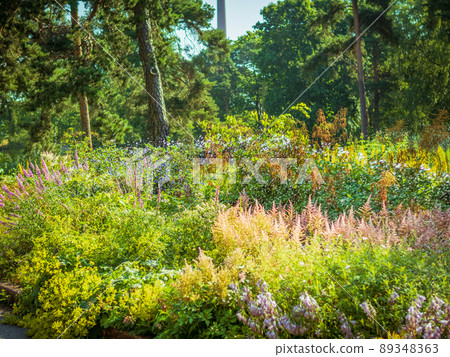 Landscape design, beautiful Park with flowers and conifers, Kotka, Park Isopuisto, Finland. 89348363