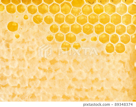bee honeycomb closeup, fresh stringy dripping sweet honey, macro background 89348374