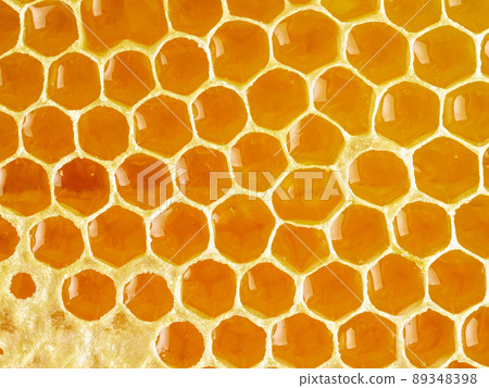 bee honeycomb closeup, fresh stringy dripping sweet honey, macro background 89348398