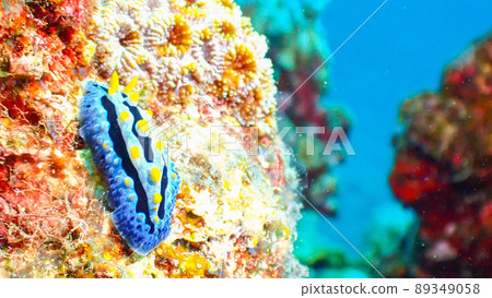 Diving Sorairoi Bow Miushi Diving Sorairoi Bow Miushi 89349058
