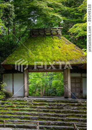 3K0A9510.jpg 法年院、數寄屋造山門和初夏的藍楓 3K0A9510.jpg 法年院、數寄屋造山門和初夏的藍楓 89349188