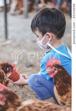 Kid feeding chickens at a chicken farm. Kid feeding chickens at a chicken farm. 89349898