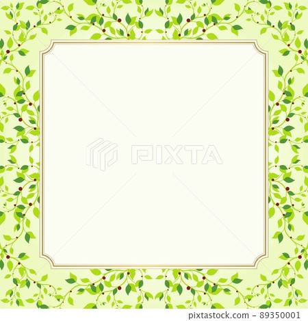New green frame 89350001