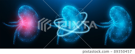 Polygonal vector illustration of inflamed diseased kidney, healthy kidney, and recovery of kidney functions. Urology or nephrology medical banner, template or background. 89350457