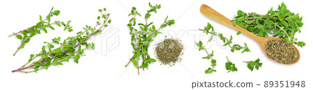 Oregano or marjoram leaves fresh and dry isolated on white background. Top view. Flat lay. Set or collection Oregano or marjoram leaves fresh and dry isolated on white background. Top view. Flat lay. Set or collection 89351948