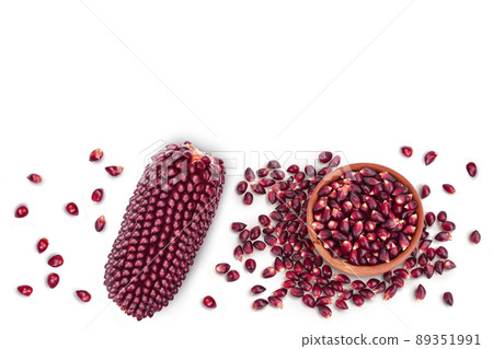 Purple corn or maize with seeds isolated on white background. Top view with copy space for your text. Flat lay Purple corn or maize with seeds isolated on white background. Top view with copy space for your text. Flat lay 89351991