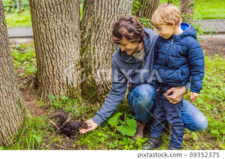 Dad and son feed a squirrel in the park 89352375