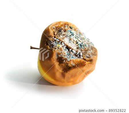 Rotten apple close-up on a white background 89352822
