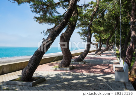 Modern Seafront promenade with trees in Kobuleti, Georgia Modern Seafront promenade with trees in Kobuleti, Georgia 89353156