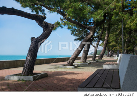 Modern Seafront promenade with trees in Kobuleti, Georgia 89353157