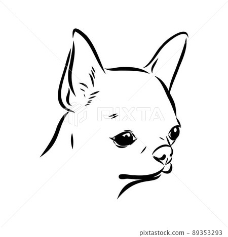 Chihuahua dog - isolated vector illustration chihuahua vector 89353293