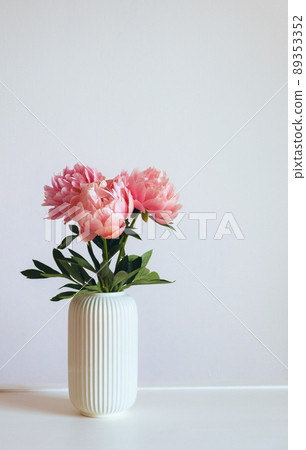 Coral peonies in full bloom in vase. 89353352