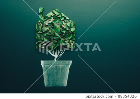 Ecology house concept. Green plant in a pot shaped like a house. Symbol of green and ecology and energy clean house Ecology house concept. Green plant in a pot shaped like a house. Symbol of green and ecology and energy clean house 89354320