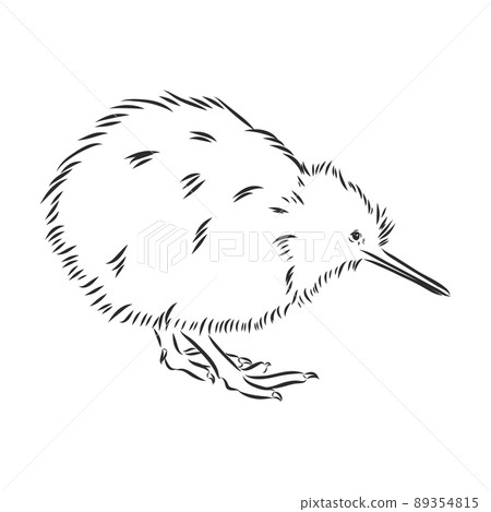Kiwi Bird coloring page | Free Printable Coloring Pages