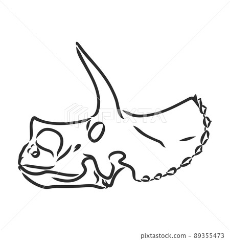 Dinosaur skeleton.Vector Image triceratops skeleton isolated on green background.Can be used as logo. For flat illustrations Dinosaur skeleton.Vector Image triceratops skeleton isolated on green background.Can be used as logo. For flat illustrations 89355473