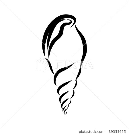 Hand drawn set of various seashell. clam shell, vector sketch Hand drawn set of various seashell. clam shell, vector sketch 89355635