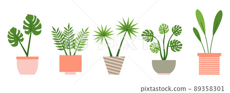 Palm, sansevieria, monstera, fern, flower flat set Palm, sansevieria, monstera, fern, flower flat set 89358301