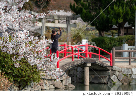 Kibitsu Shrine 89359094