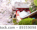 Kibitsu Shrine 89359098